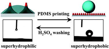 Graphical abstract: Switchable wettability of vertical Si nanowire array surface by simple contact-printing of siloxane oligomers and chemical washing