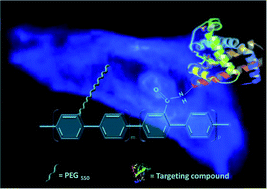 Graphical abstract: The synthesis and targeting of PPP-type copolymers to breast cancer cells: Multifunctional platforms for imaging and diagnosis