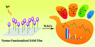 Graphical abstract: A single fluorescent self-assembled monolayer film sensor with discriminatory power