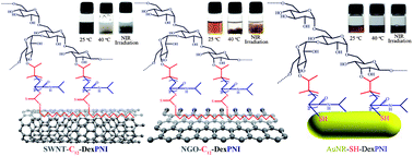 Graphical abstract: Functionalization of carbon and gold nanomaterials using PNIPAAm grafted dextran: a general route towards robust and smart nanomaterials