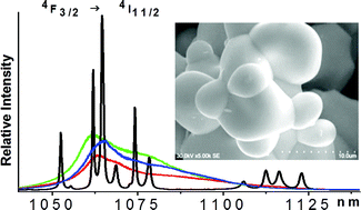 Graphical abstract: Structural and spectroscopic characterizations of two promising Nd-doped monoclinic or tetragonal laser tungstates
