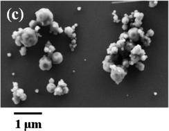 Graphical abstract: New core–shell hybrid nanoparticles for biophotonics: fluorescent organic nanocrystals confined in organosilicate spheres