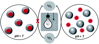 Graphical abstract: Enhanced photodynamic selectivity of nano-silica-attached porphyrins against breast cancer cells