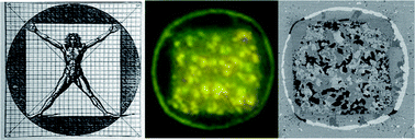 Graphical abstract: Hierarchical patterning of organic molecules for self-referenced vapor sensing