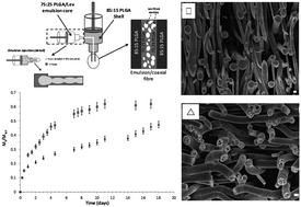 Graphical abstract: Emulsion-coaxial electrospinning: designing novel architectures for sustained release of highly soluble low molecular weight drugs