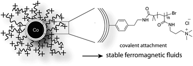 Graphical abstract: Stable dispersions of ferromagnetic carbon-coated metal nanoparticles: preparation via surface initiated atom transfer radical polymerization