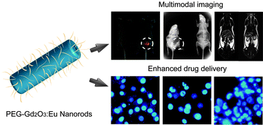 Graphical abstract: Hybrid mesoporous gadolinium oxide nanorods: a platform for multimodal imaging and enhanced insoluble anticancer drug delivery with low systemic toxicity