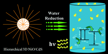 Graphical abstract: Hierarchical 3D NiO–CdS heteroarchitecture for efficient visible light photocatalytic hydrogen generation