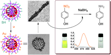 Graphical abstract: Robust hybrid nanostructures comprising gold and thiol-functionalized polymer nanoparticles: facile preparation, diverse morphologies and unique properties