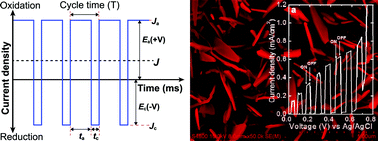 Graphical abstract: Facile growth of hierarchical hematite (α-Fe2O3) nanopetals on FTO by pulse reverse electrodeposition for photoelectrochemical water splitting