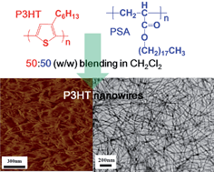 Graphical abstract: Morphology and field-effect transistor characteristics of semicrystalline poly(3-hexylthiophene) and poly(stearyl acrylate) blend nanowires