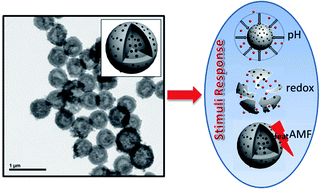 Graphical abstract: Nanodesigned magnetic polymer containers for dual stimuli actuated drug controlled release and magnetic hyperthermia mediation