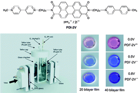 Graphical abstract: Synthesis of a perylenediimide-viologen dyad (PDI-2V) and its electrochromism in a layer-by-layer self-assembled multilayer film with PEDOT:PSS