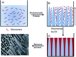 Graphical abstract: Frozen polymerization for aligned porous structures with enhanced mechanical stability, conductivity, and as stationary phase for HPLC