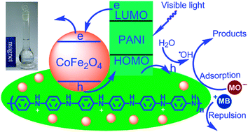 Graphical abstract: Cobalt ferrite–polyaniline heteroarchitecture: a magnetically recyclable photocatalyst with highly enhanced performances