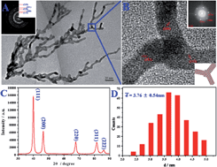 Graphical abstract: Block copolymer reduces, protects and mediates oriented growth into nano/submicron branched platinum