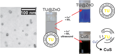 Graphical abstract: ZnO nanocontainers: structural study and controlled release