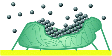 Graphical abstract: Protein and peptide biotemplated metal and metal oxide nanoparticles and their patterning onto surfaces