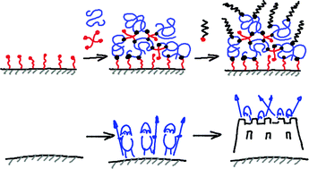 Graphical abstract: It takes walls and knights to defend a castle – synthesis of surface coatings from antimicrobial and antibiofouling polymers