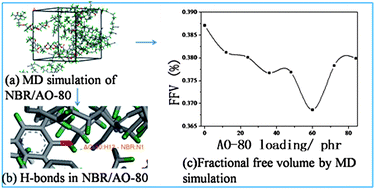 Graphical abstract: A combined experiment and molecular dynamics simulation study of hydrogen bonds and free volume in nitrile-butadiene rubber/hindered phenol damping mixtures