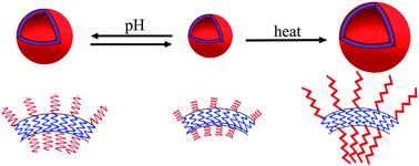 Graphical abstract: Polypeptide-based vesicles: formation, properties and application for drug delivery