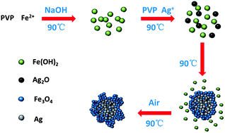 Graphical abstract: One-pot synthesis of Ag–Fe3O4 nanocomposites in the absence of additional reductant and its potent antibacterial properties