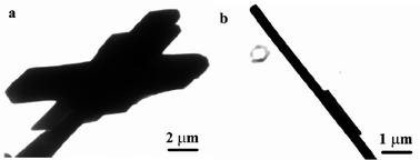 Graphical abstract: Synthesis of copper(ii) coordination polymers and conversion into CuO nanostructures with good photocatalytic, antibacterial and lithium ion battery performances