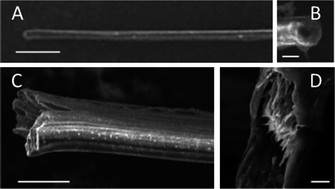 Graphical abstract: High strength composite fibres from polyester filled with nanotubes and graphene