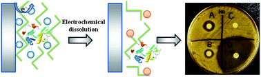 Graphical abstract: Electrochemically stimulated release of lysozyme from an alginate matrix cross-linked with iron cations