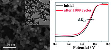 Graphical abstract: One-pot synthesis of three-dimensional platinum nanochain networks as stable and active electrocatalysts for oxygen reduction reactions