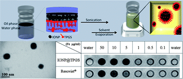 Graphical abstract: Polyethylene glycol-based biocompatible and highly stable superparamagnetic iron oxide nanoclusters for magnetic resonance imaging