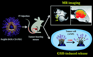 Graphical abstract: A multifunctional mesoporous nanocontainer with an iron oxide core and a cyclodextrin gatekeeper for an efficient theranostic platform