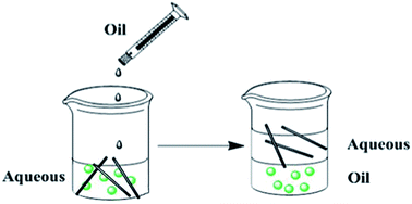 Graphical abstract: A novel separation technique for aqueous nanoparticles based on a phase transfer approach