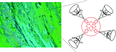 Graphical abstract: Flying-seed-like liquid crystals 2: unprecedented guidelines to obtain liquid crystalline compounds