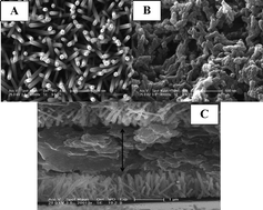 Graphical abstract: A sandwich-structured ultraviolet photodetector driven only by opposite heterojunctions