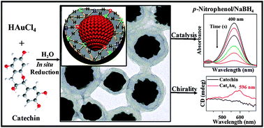 Graphical abstract: In situ formation of chiral core–shell nanostructures with raspberry-like gold cores and dense organic shells using catechin and their catalytic application