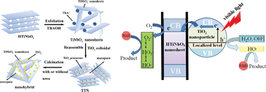 Graphical abstract: Nitrogen-doped mesoporous nanohybrids of TiO2 nanoparticles and HTiNbO5 nanosheets with a high visible-light photocatalytic activity and a good biocompatibility