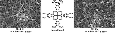 Graphical abstract: Synthesis, self-assembly, and semiconducting properties of phenanthroline-fused phthalocyanine derivatives