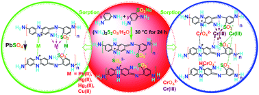 Graphical abstract: Synthesis and strong heavy-metal ion sorption of copolymer microparticles from phenylenediamine and its sulfonate