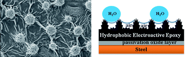 Graphical abstract: Synergistic effect of electroactivity and hydrophobicity on the anticorrosion property of room-temperature-cured epoxy coatings with multi-scale structures mimicking the surface of Xanthosoma sagittifolium leaf