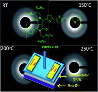 Graphical abstract: Furan substituted diketopyrrolopyrrole and thienylenevinylene based low band gap copolymer for high mobility organic thin film transistors