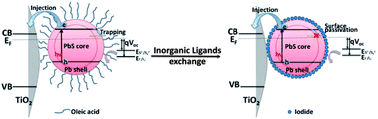 Graphical abstract: Inorganic iodide ligands in ex situ PbS quantum dot sensitized solar cells with I−/I3− electrolytes