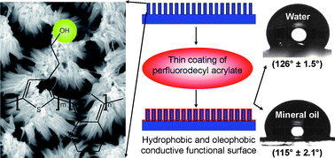 Graphical abstract: High aspect ratio, functionalizable conducting copolymer nanobundles