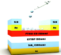 Graphical abstract: Stable organic thin film transducers for biochemical and label-free sensing under physiological conditions