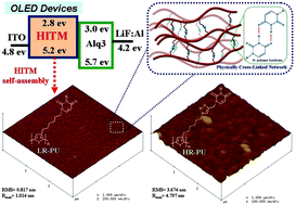 Graphical abstract: Bioinspired hole-conducting polymers for application in organic light-emitting diodes