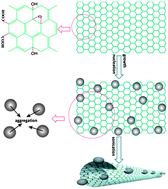 Graphical abstract: Rolling up graphene oxide sheets into micro/nanoscrolls by nanoparticle aggregation