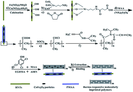 Graphical abstract: Switched recognition and release ability of temperature responsive molecularly imprinted polymers based on magnetic halloysite nanotubes