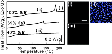 Graphical abstract: Crosslinkable liquid crystalline copolymers with variable isotropization temperature