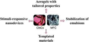 Graphical abstract: Cellulose nanocrystals and microfibrillated cellulose as building blocks for the design of hierarchical functional materials