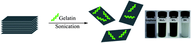 Graphical abstract: Gelatin-assisted fabrication of water-dispersible graphene and its inorganic analogues